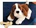 Rylee the Hound Dog