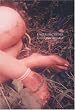 Daido Moriyama: Kagero and Colors