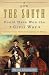 Book How the South Could Have Won the Civil War: The Fatal Errors That Led to Confederate Defeat