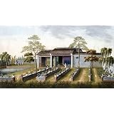 Garden Scene (Print On Demand)