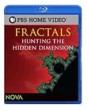 Fractals: Hunting the Hidden Dimension (Blu-ray) [Blu-ray]