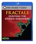 Fractals: Hunting the Hidden Dimension [Blu-ray]