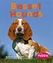 Basset Hounds (Dogs (Pebble))