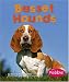 Basset Hounds (Pebble Books)