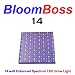 BloomBoss 14 LED Grow Light 14 watt Grow Panel
