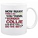 New  How Many Times Do You Think My Border Collie Can Bite You ... Do We Bet ?  Mug Dog