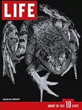 original LIFE MAGAZINE of August 30, 1937 with   LIFE GOES ON A FROG HUNT on cover. Dead End with Humphrey Bogart.  Germans Play Water ball.