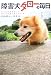 障害犬タローの毎日