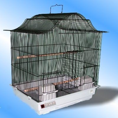 Tazmin Bird Cage Black Budgie Canaries Parrotlets Birds