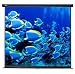 from Duronic Duronic MPS70 Manual Pull Down HD Projector Screen - 70 - Matte White Screen - Wall, Ceiling mountable Model MPS70