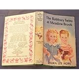 the bobbsey twins at meadow brook