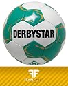 DERBYSTAR Fanball "WERDER BREMEN"