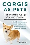 Pembroke Welsh corgi
