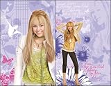 Hannah Montana 2-Piece Wall Art