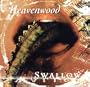 Swallow