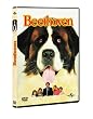 Beethoven