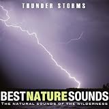 Thunder & Rain