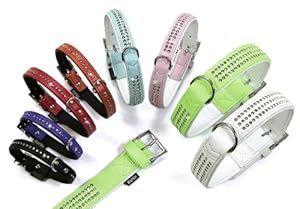 dogs collars harnesses leads basic collars dogs collars harnesses leads basic collars