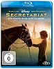 Secretariat - Ein Pferd wird zur Legende (Blu-Ray)