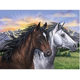 Ravensburger Spirits of the Wind 1,000 pc pzl