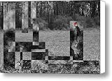Red Hat Kudzu Cloud Canvas Print / Canvas Art - Artist Valerie Rakes