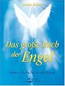 Das gro&szlig;e Buch der Engel: Namen, Geschichte(n) und Rituale. U. a. mit einer Einf&uuml;hrung in verschiedene Engellehren und einem Lexikon mit &uuml;ber 1 400 Engelnamen nebst ihrer Bedeutung und Zuordnung