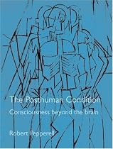 The Posthuman Condition: Consciousness Beyond the Brain, 3rd edition