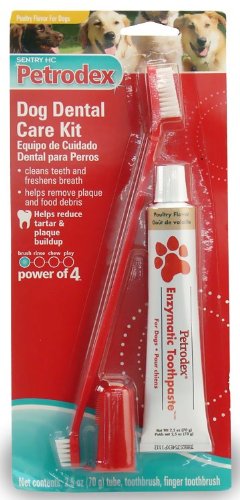 Image of Petrodex Dog Dental Care Kit, Poultry Toothpaste with 2 Toothbrushes