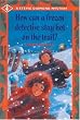 How Can a Frozen Detective Stay Hot on the Trail? (Stevie Diamond Mysteries)