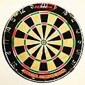 Match Play Bristle Dartboard