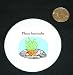 3" button / pin printed with snail, aquarium