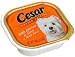 Cesar Canine Cuisine with Chicken & Liver in Meaty Juices for Small Dogs, 3.5-Ounce Trays (Pack of 24)