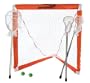 Brine Mini Lacrosse Goal Set With Sticks