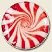 Kitchen & Housewares : Peppermint Auto Coaster - Coaster for Your Car, Single