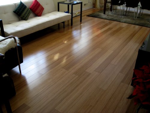 bamboo flooring