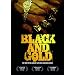 Black & Gold: The Story of the Almighty Latin King and Queen Nation