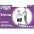 Read Write Inc. Phonics: Purple Set 2 B/W Storybooks: Mixed Pack of 10 books