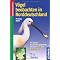 Digiscoping