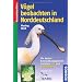 Digiscoping