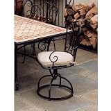 Alfresco Home Swirl Outdoor Dining Arm Chair With Cushion - Set Of 2
