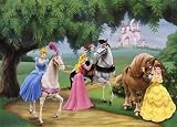 Princess Promenade by Walt Disney. PLAQUE MOUNTED. 28.00 inches width by 20.00 inches height. Highest Quality Art Poster Print