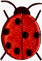 Red & Black Ladybug - Embroidered Iron On or Sew On Patch (Lady Bug)