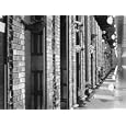 Men and Women Looking Through the Card Catalogues at the Library of Congress Photographic Poster Print by Bernard Hoffman, 16x12