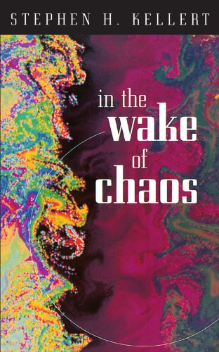 In the Wake of Chaos: Unpredictable Order in Dynamical Systems (Science and Its Conceptual Foundations series)