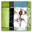 Flower III by Veronica Rosas 24"x24" Art Print Poster