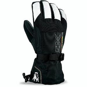 Dakine Men's Scout Glove, Rasta, X-Large