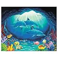 Paint By Number Kit 20"X16"-Deep Se
