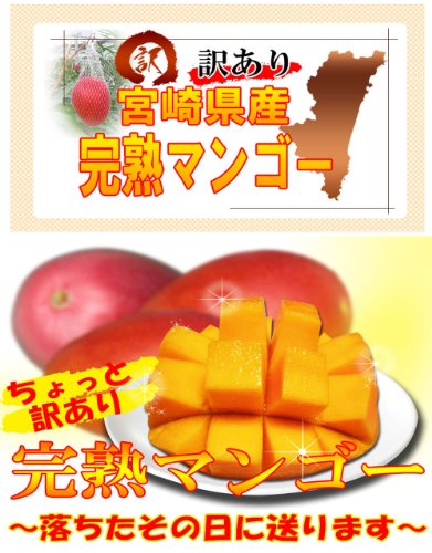 ちょっと訳あり 宮崎県産完熟マンゴー2L  約400ｇ  大玉 1玉　お得用 家庭用【完熟したその日に産地直送にてお届けします。】