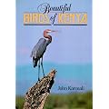 Beautiful Birds of Kenya