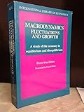 Macrodynamics : fluctuations and growth : a study of the economy in equilibrium and disequilibrium